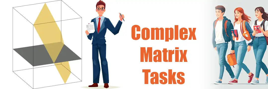 Navigating Complex Matrices and Vector Spaces Assignments