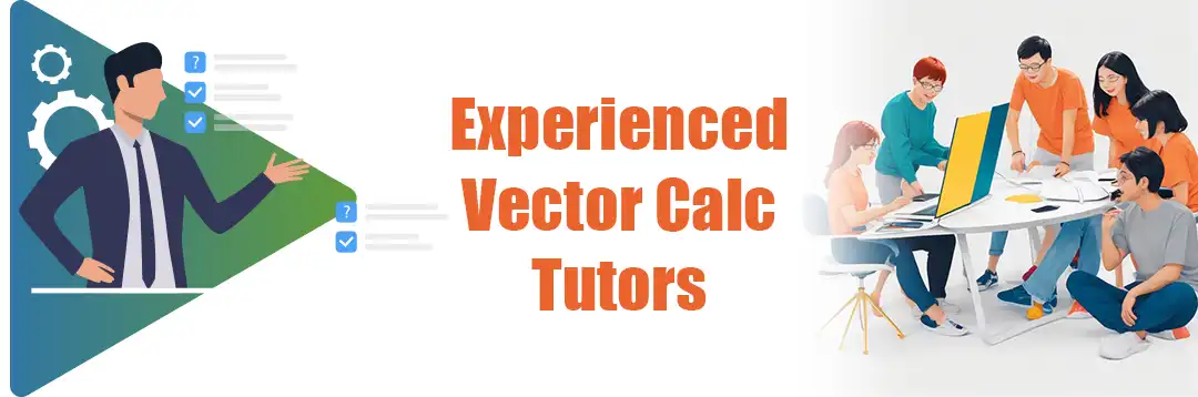 Our Team of Seasoned Vector Calculus Class Tutors